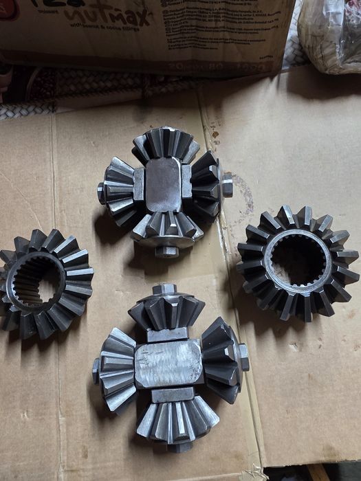 PINIOANE GRUP spate si fata A 1800