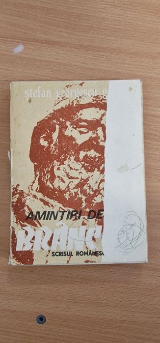 Amintiri despre Brancusi carte literatura romana