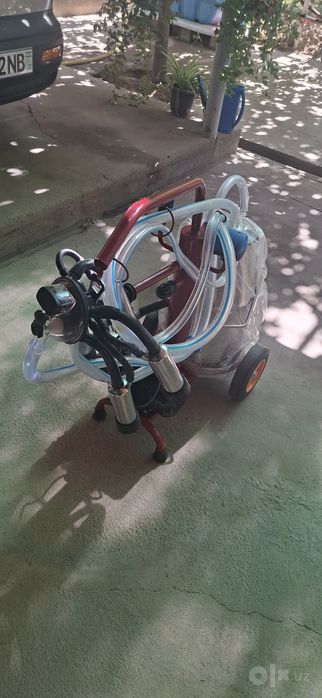 Sut sog‘ish aparati
