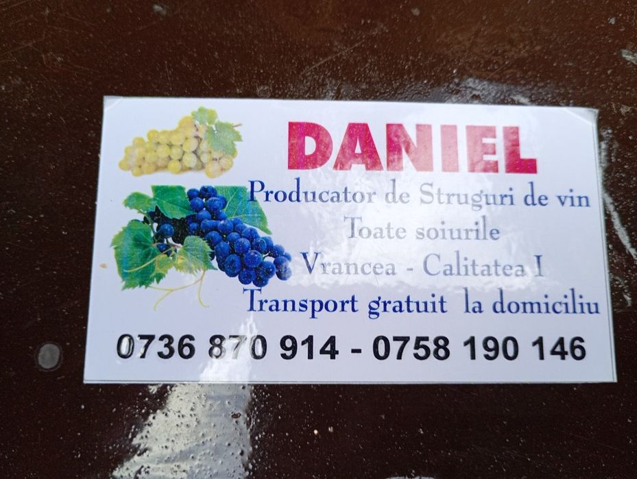Vând struguri pentru vin
