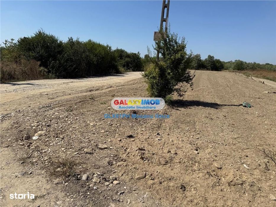 Vanzare teren 2960 mp, langa Ploiesti, in Lipanesti