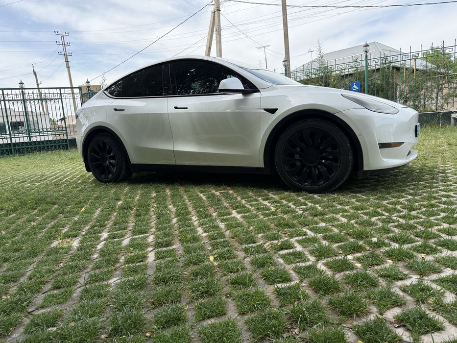 Tesla Model Y Long Range 2022 (USA)