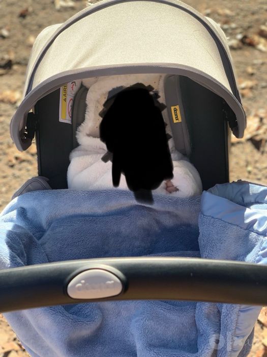 Doona i коляска/автокресла