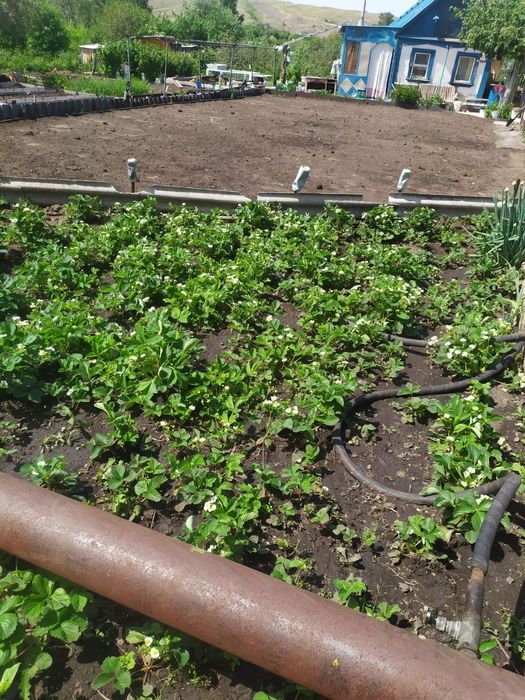 Продам дачу для души