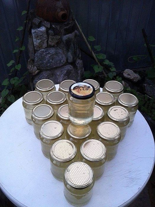 Miere de albine naturala 100%