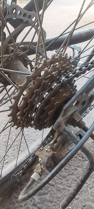 Вел под дерт хороший