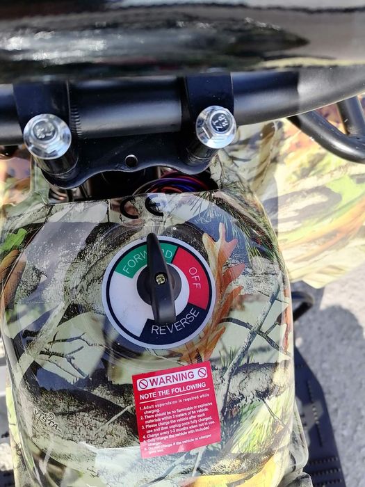 Електрическо Атв 800 w Electric за деца