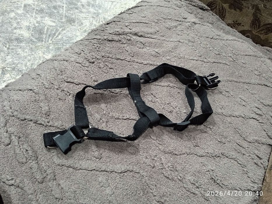 Шлейка для собак