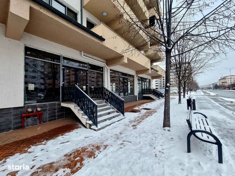 Spatii de vanzare / Dem Radulescu