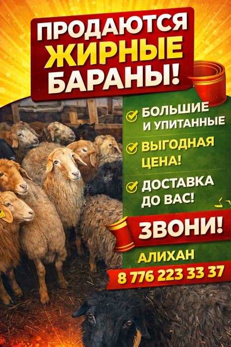 продам 10 голов баран(токлы)