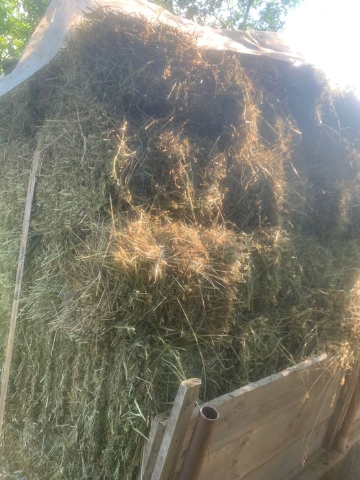 Baloți dreptunghiulari