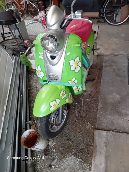 Vand Scuter 49cm