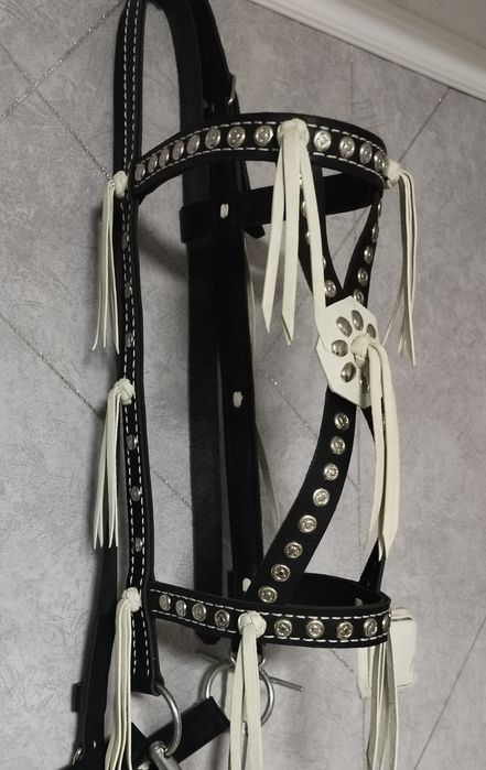 Жуген. Узда. Уздечка