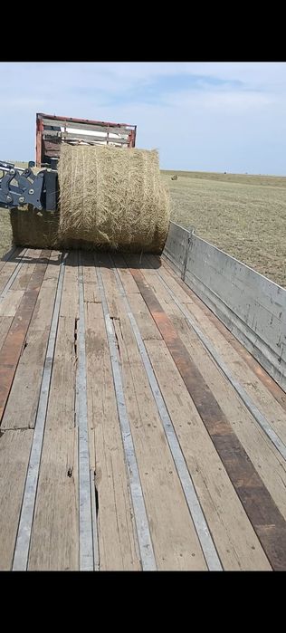 Продам сено в рулонах с доставкой