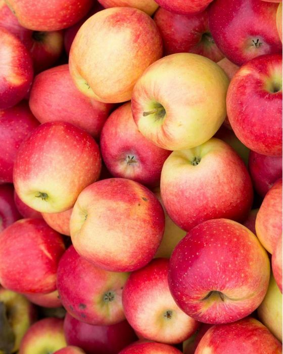 Pomi Fructiferi  mar soiul  pink lady