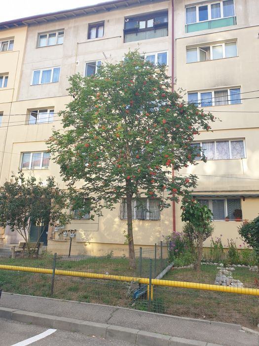 Inchiriez garsoniera Sinaia