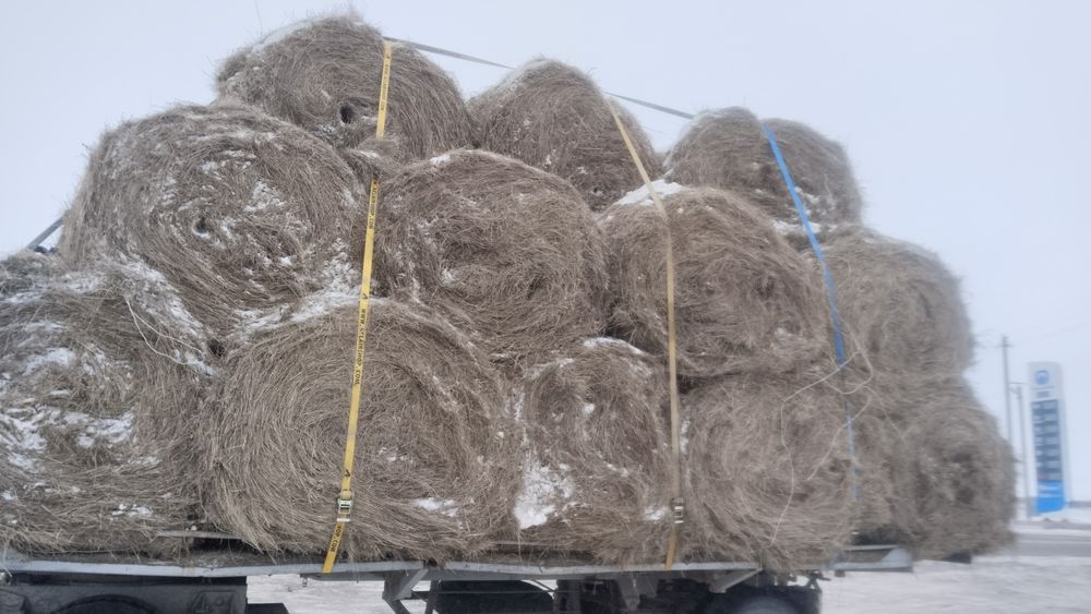 Продаю сено в рулонах