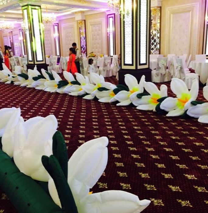 Надувные гвоздики пневмогирлянды.