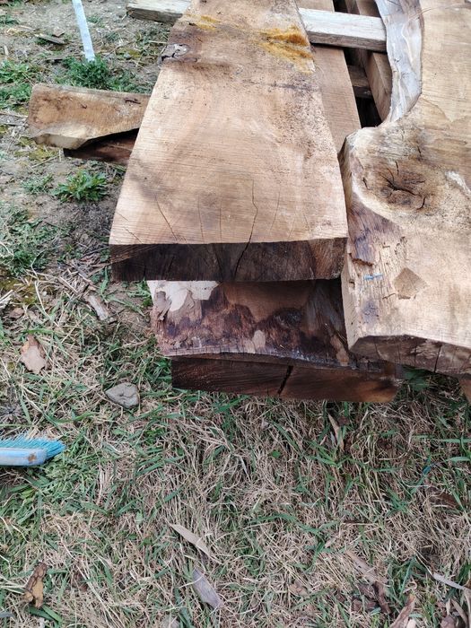 Posta de 5.5 grosime de nuc