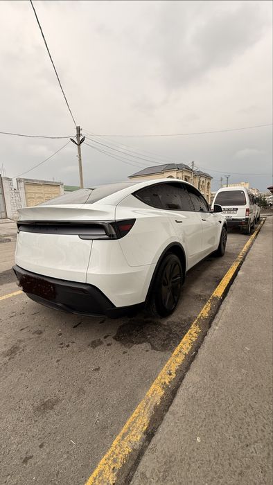 Tesla Model Y juniper