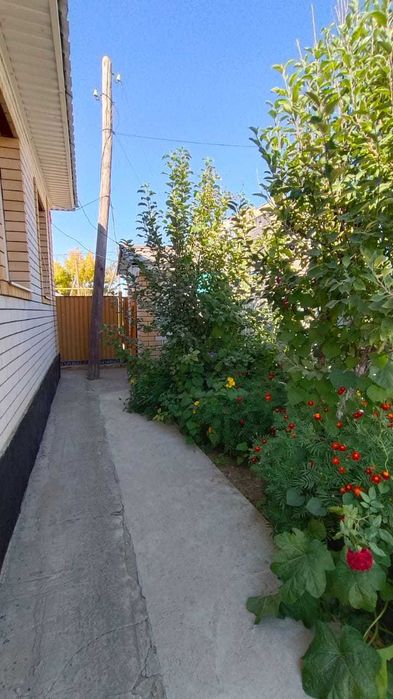 Продам 2 дома во 1 дворе