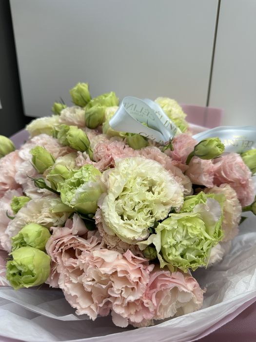 Цветы Гортензия Астана