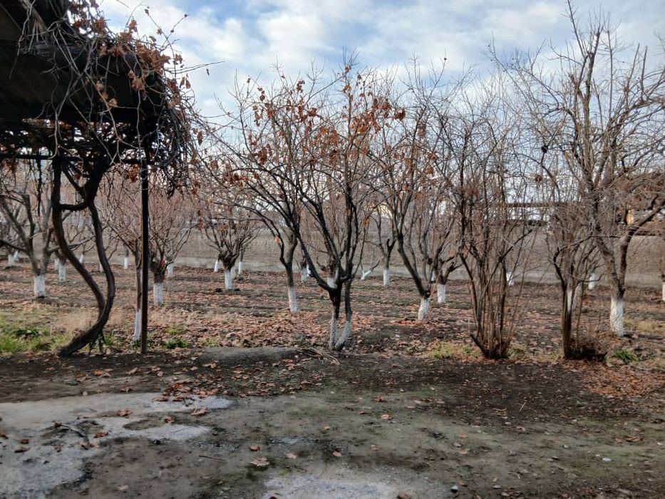 4 sotix xovli uy 36.000 dollor