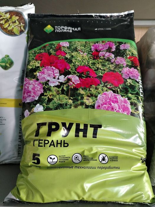 Xar xil turdagi gullarimiz sotiladi