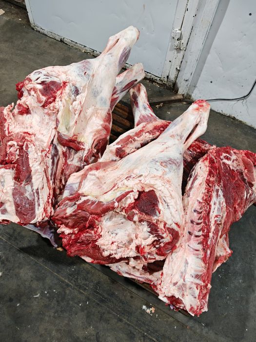 Мясо говядины конины баранины