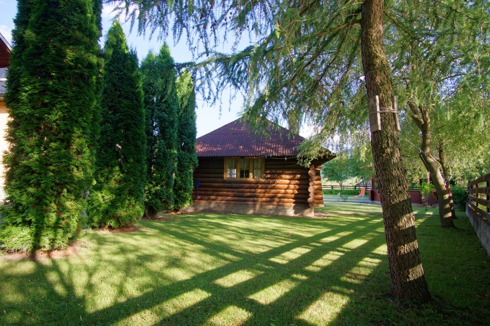 Pensiunea Mario din Bucovina