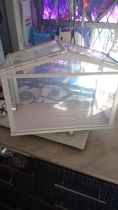 Продам комнатные цветы
