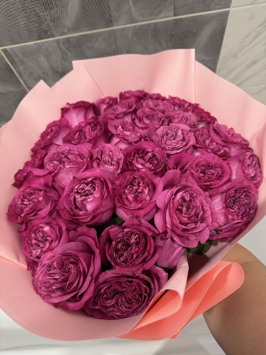 Балғын раушан гүлдері