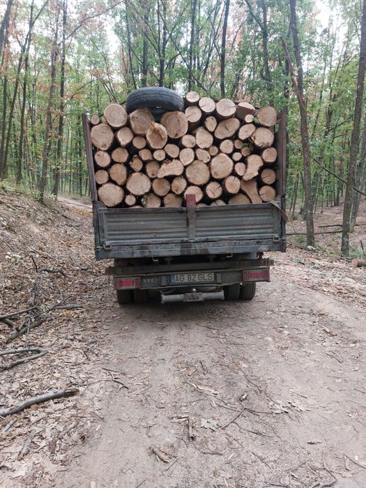 Lemn de foc fag la cererea clientului