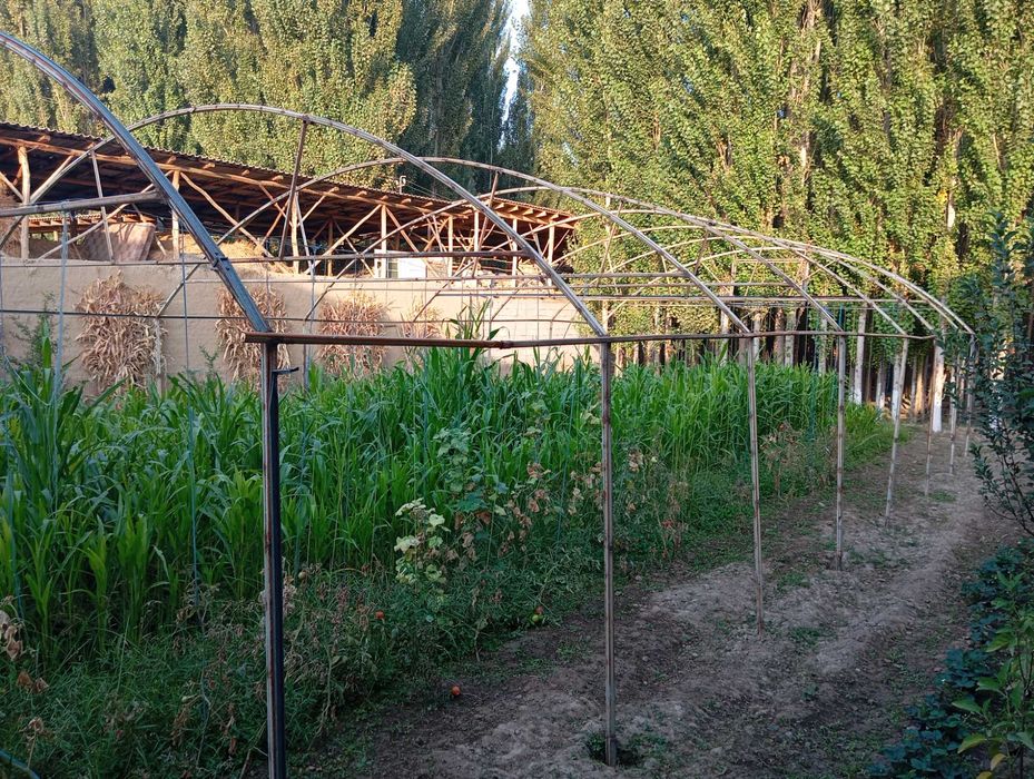 Tayyor issiqxona парник sotiladi