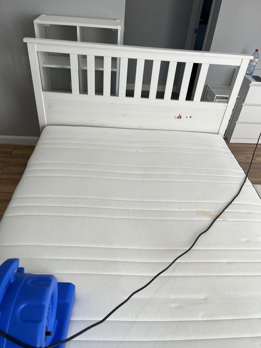 Химчистка мягкой мебели