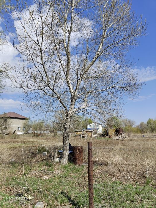 Дача за Юртой (СК Зеленстрой-2)