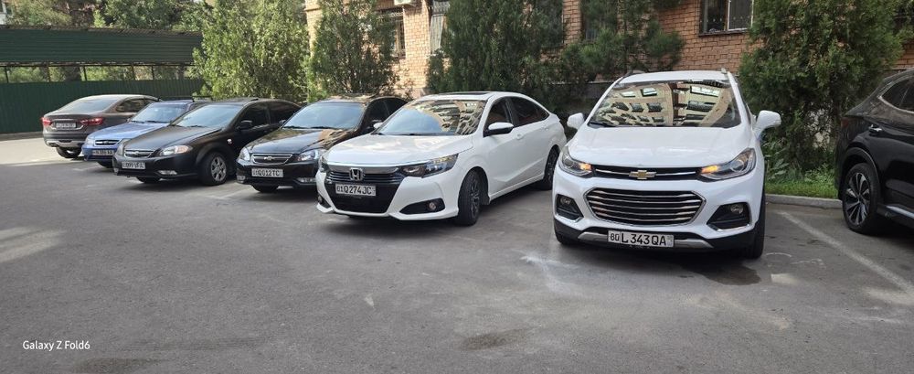 Сухая аренда малибу автомат хонда кридер Жентра