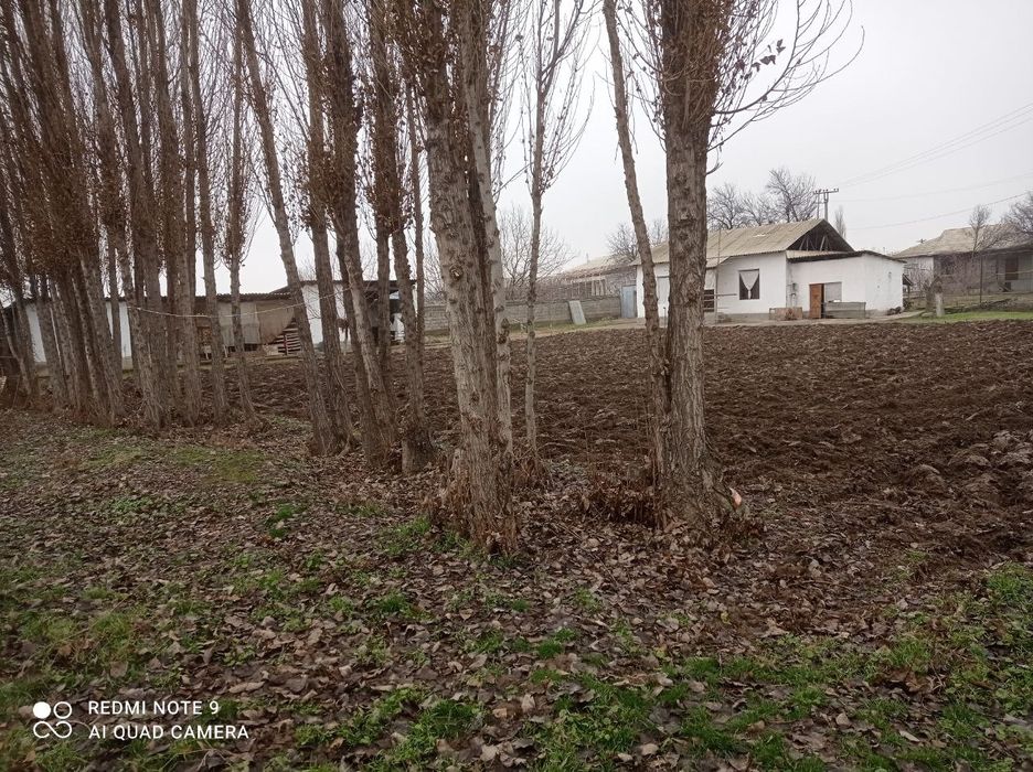 Hovli 17 sotix Qorasuv