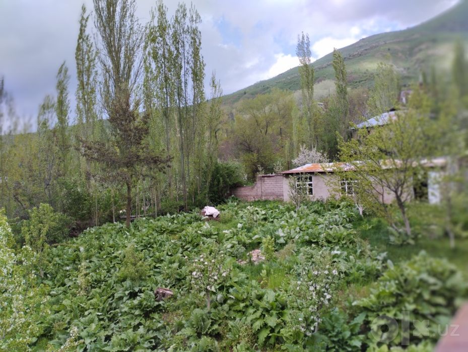 Продается участок в Чимгане.