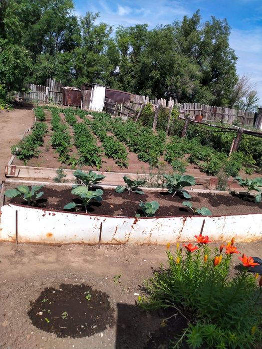 Дача в сортировке