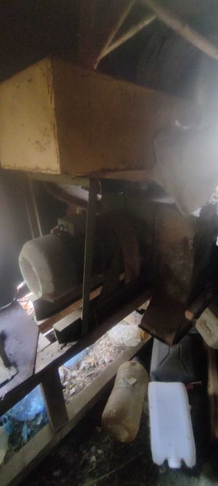 Ярмомелка  българска,