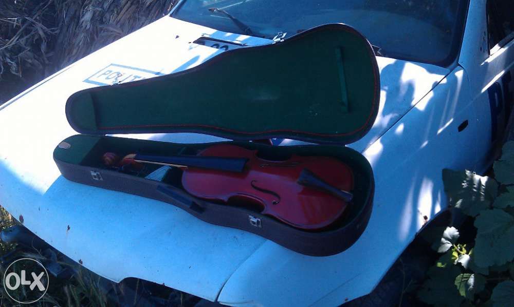 Viola fabricatie reghin