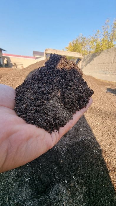 #биогумис #Biogumus #Kaliforniya Chivalchanglari