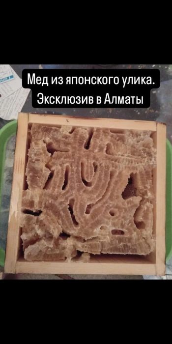 Эксклюзивный МЕД !!!