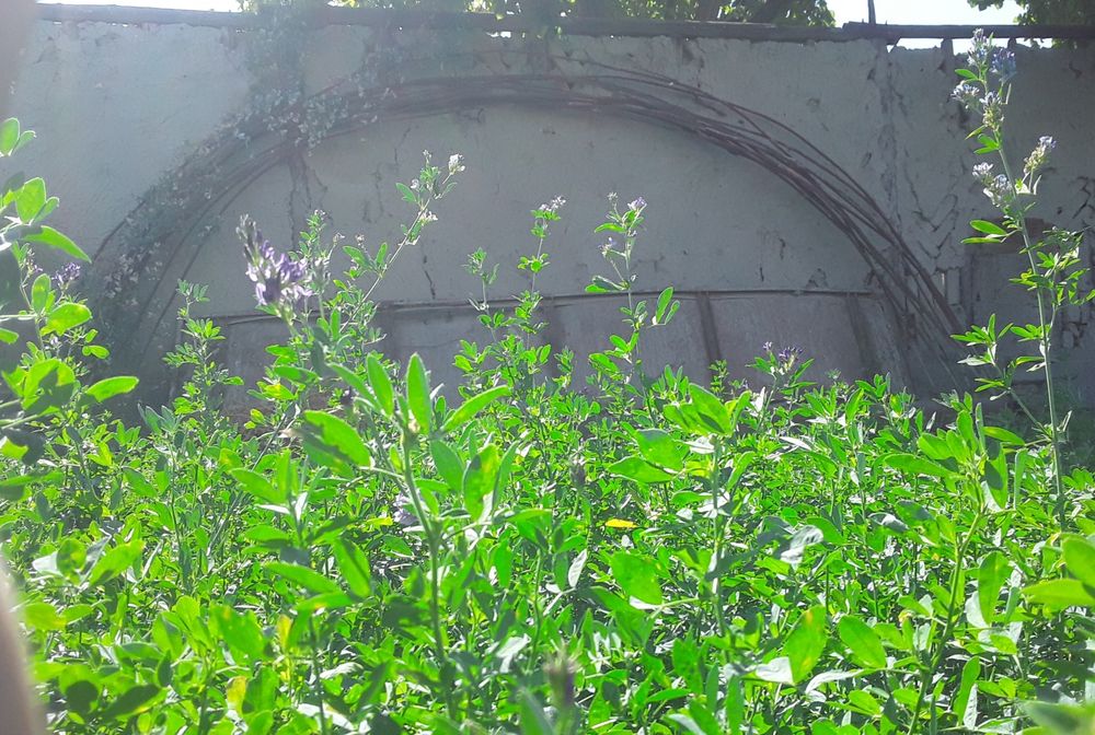 Sifatli temir armatura