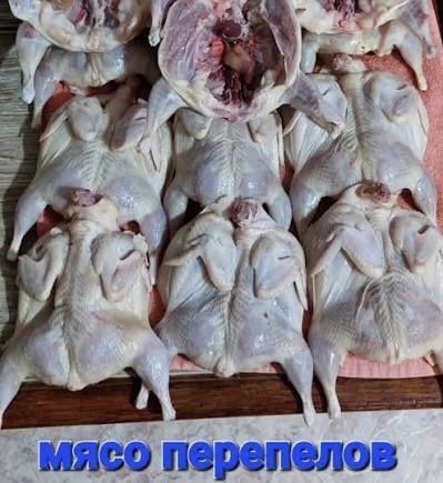 Мясо перепелов крупные