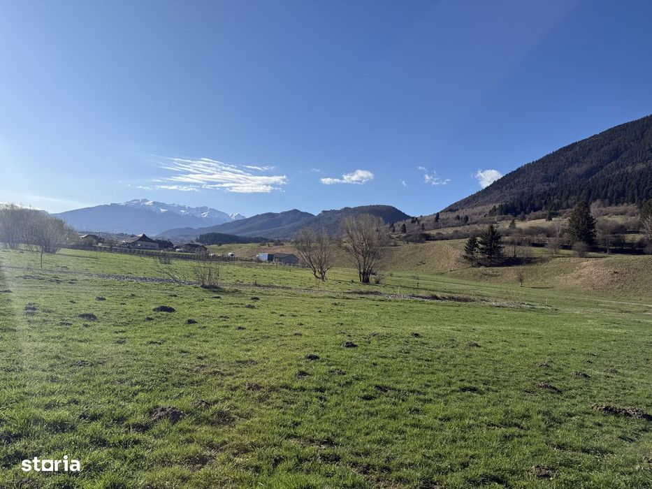 Teren intravilan 1269 mp cu priveliste la 12 km de zona Bran-Moeciu.