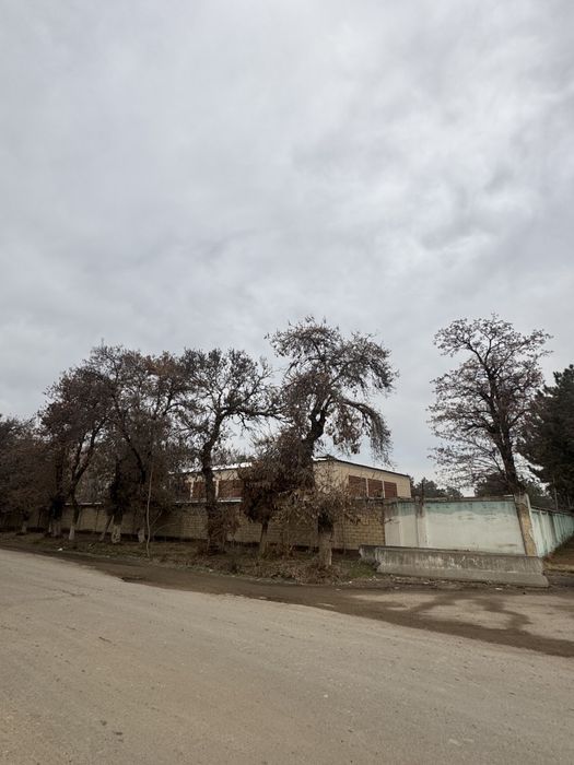 Продается Земля Янги Узбекистон