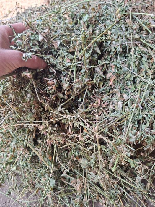 Vand baloti de lucerna