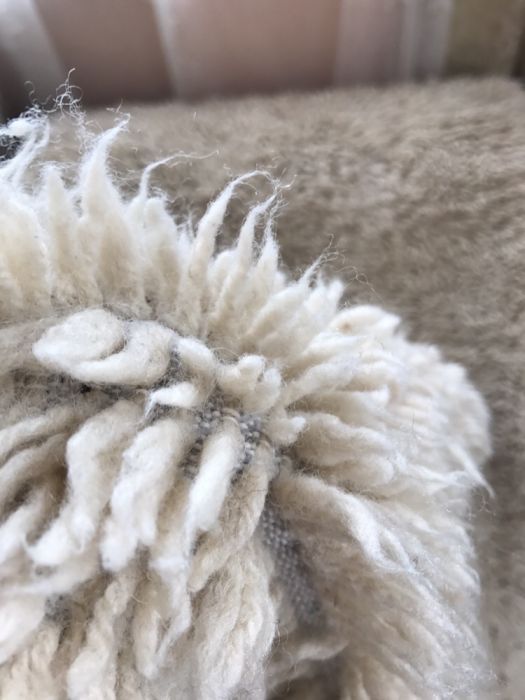 Китеници от естественна вълна.